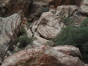 Rings in the Rocks, how cool is that? 